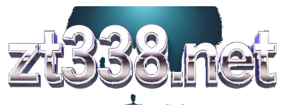 zt9398.net logo